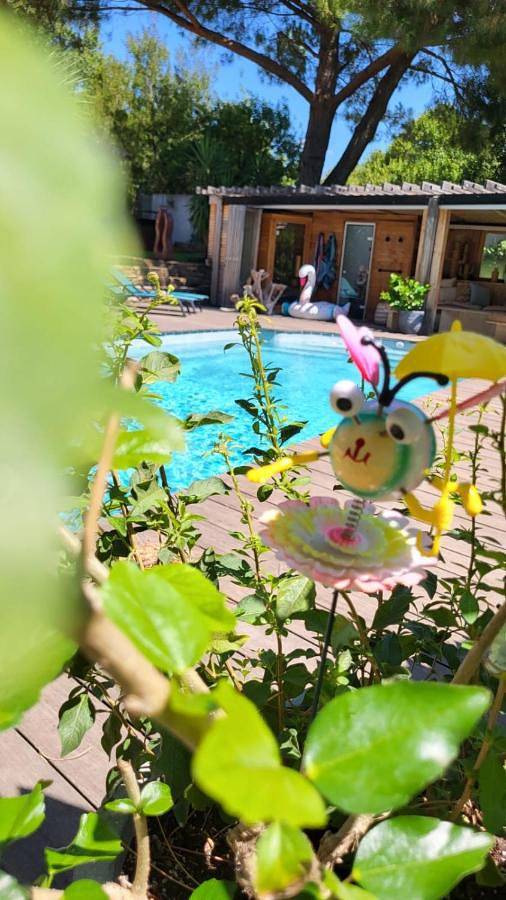 Entre les pins et les oliviers in Bormes-les-Mimosas, Parc national de Port-Cros