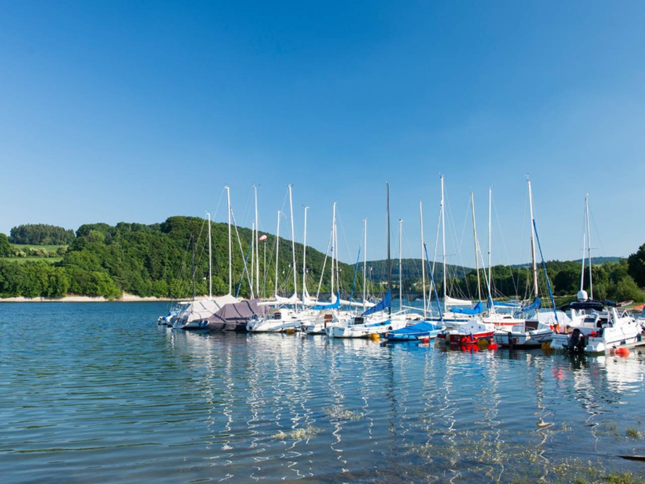 Geheel appartement, Appartement 'Fewo Wendelstein' met gedeeld terras, gedeelde tuin en Wi-Fi in Schwalefeld, Willingen