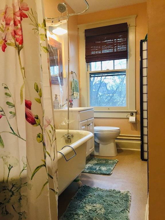 Historic Beauty and Walkable to Everywhere in Albemarle County