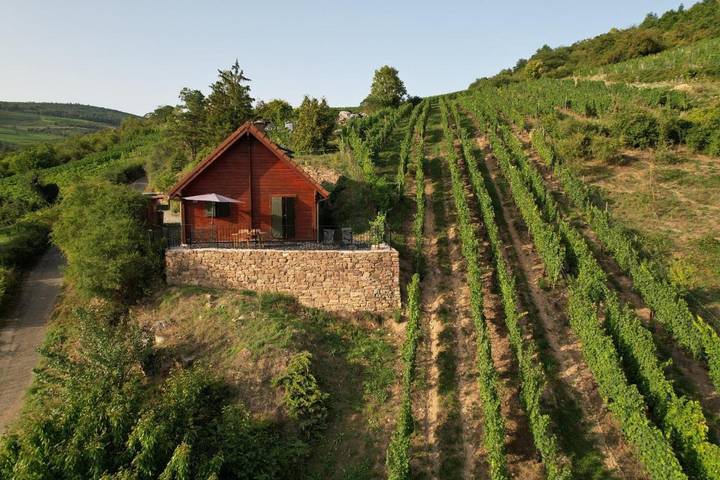 Chalet pour 4 personnes, avec Terrasse ainsi que Jardin et Vue
