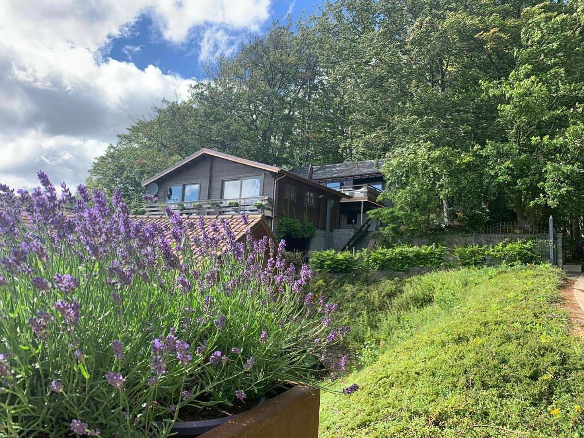 Chalet de la Sablière in Amougies, Mont-de-l'Enclus