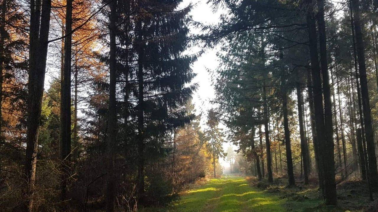 Ferienhaus für 4 Personen (46 m²) in Skærbæk in Skærbæk, Tondern und Umgebung