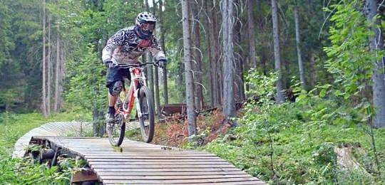 Ferienhaus für 4 Personen, mit Pool und Garten sowie Sauna, kinderfreundlich in Landkreis Regen - 4