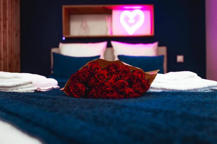 Gîte pour 2 personnes, avec jacuzzi et jardin à Clermont-Ferrand - 2