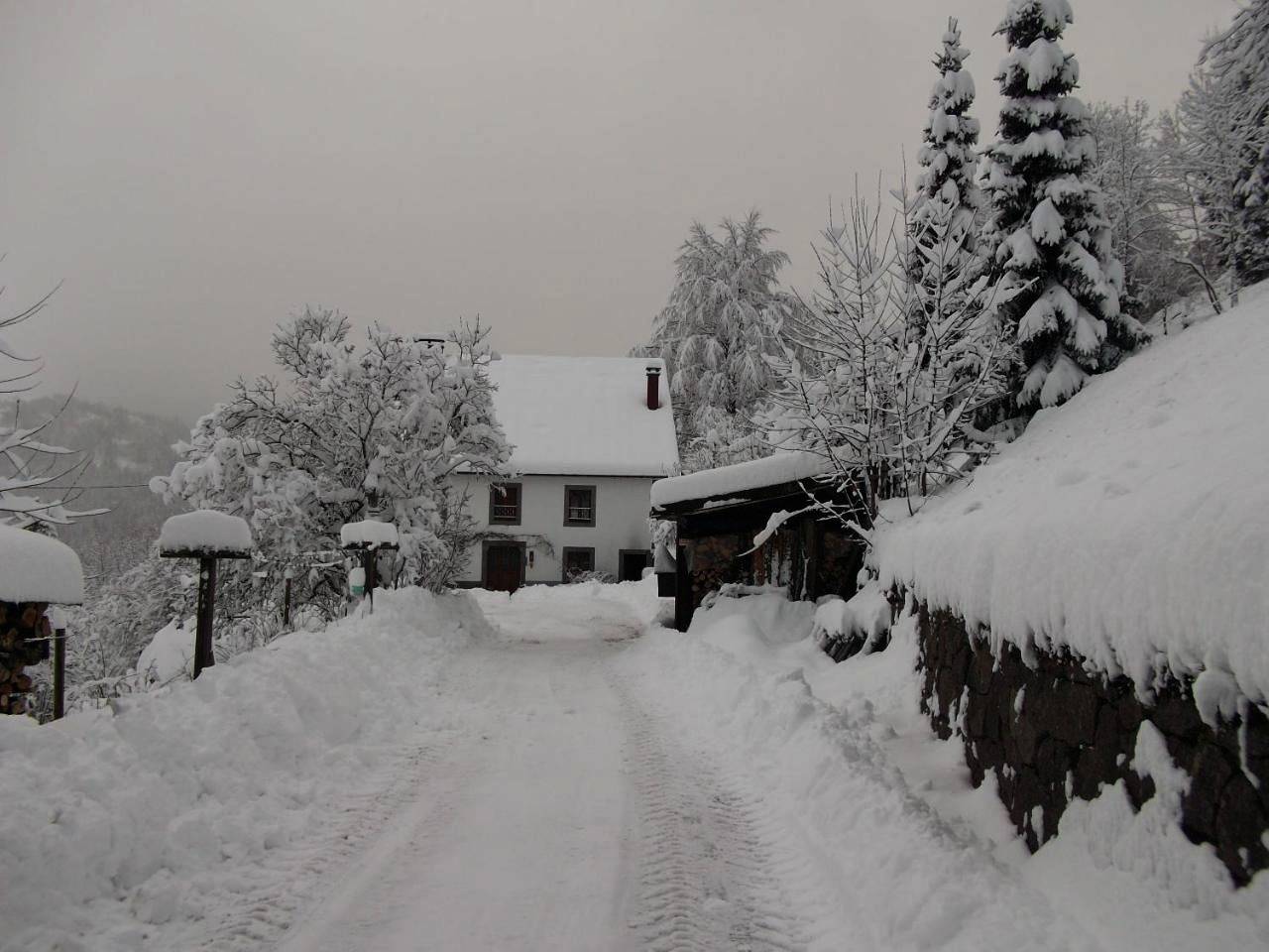 La Ferme du Vieux Sapin in La Bresse, Parc naturel régional des Ballons des Vosges