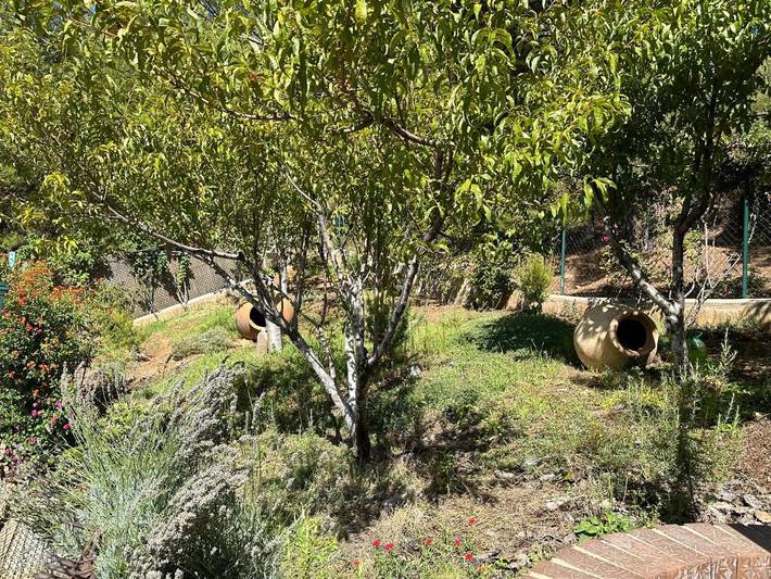 Casa rural para 8 personas, con jardín además de piscina y vistas en Yeste - 2