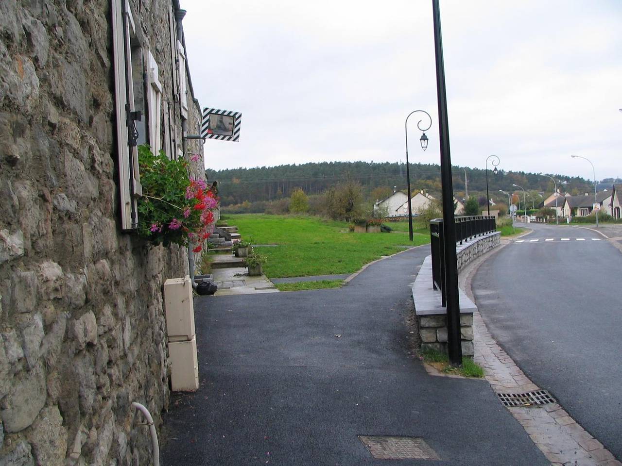 Les Jonquilles in Rancennes, Parc naturel régional des Ardennes