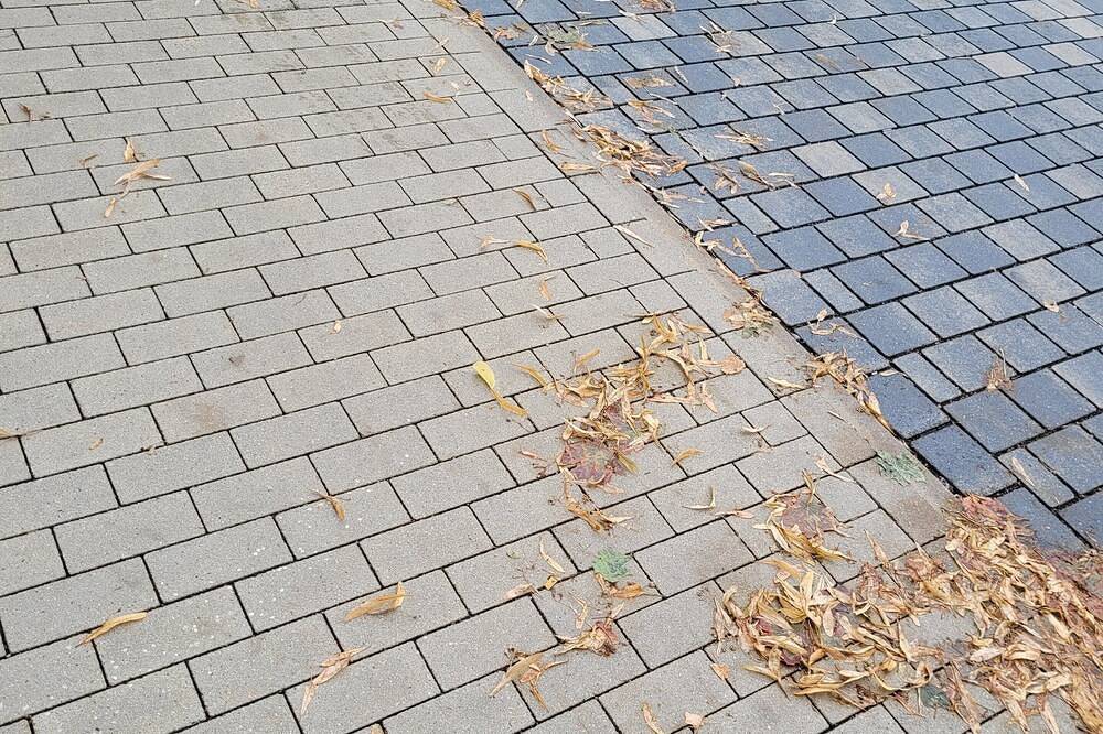 Ganze Wohnung, Gemütliche Ferienwohnung Alte Arztpraxis - besonders für Familien geeignet! in Wabern, Schwalm-Eder-Kreis