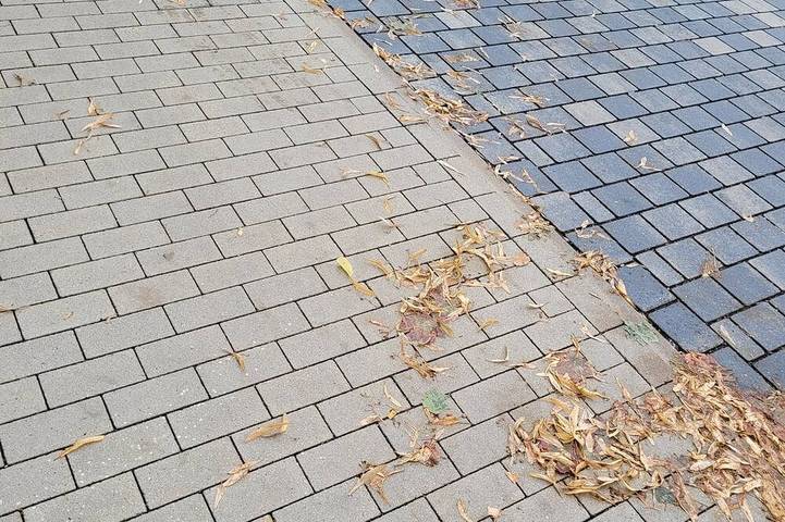 Ganze Wohnung, Gemütliche Ferienwohnung Alte Arztpraxis - besonders für Familien geeignet! in Wabern, Schwalm-Eder-Kreis