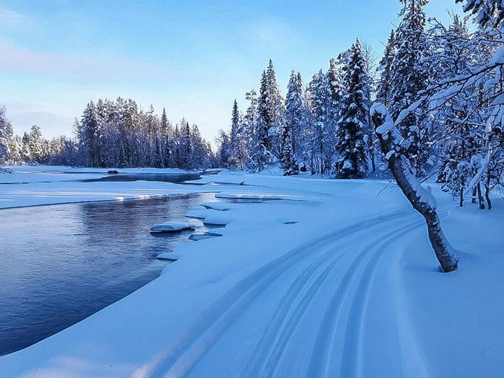 Mustikka in Käylä, Nordösterbotten