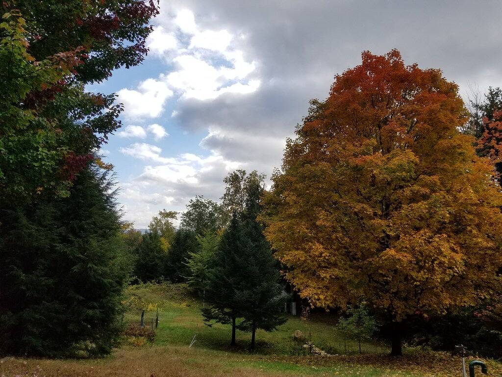 Enchanted Forest Retreat in der Nähe von Mt. Sunapee: Skifahren, wandern, geniessen in unserem Spa! in Newbury (NH), New Hampshire