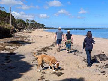 Ferienhaus für 4 Personen in Bass Coast Shire, Victoria, Bild 3