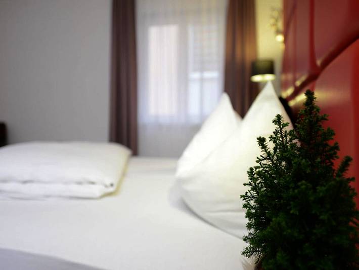 Hotel für 3 Personen, mit Terrasse und Sauna in Marktheidenfeld - 3