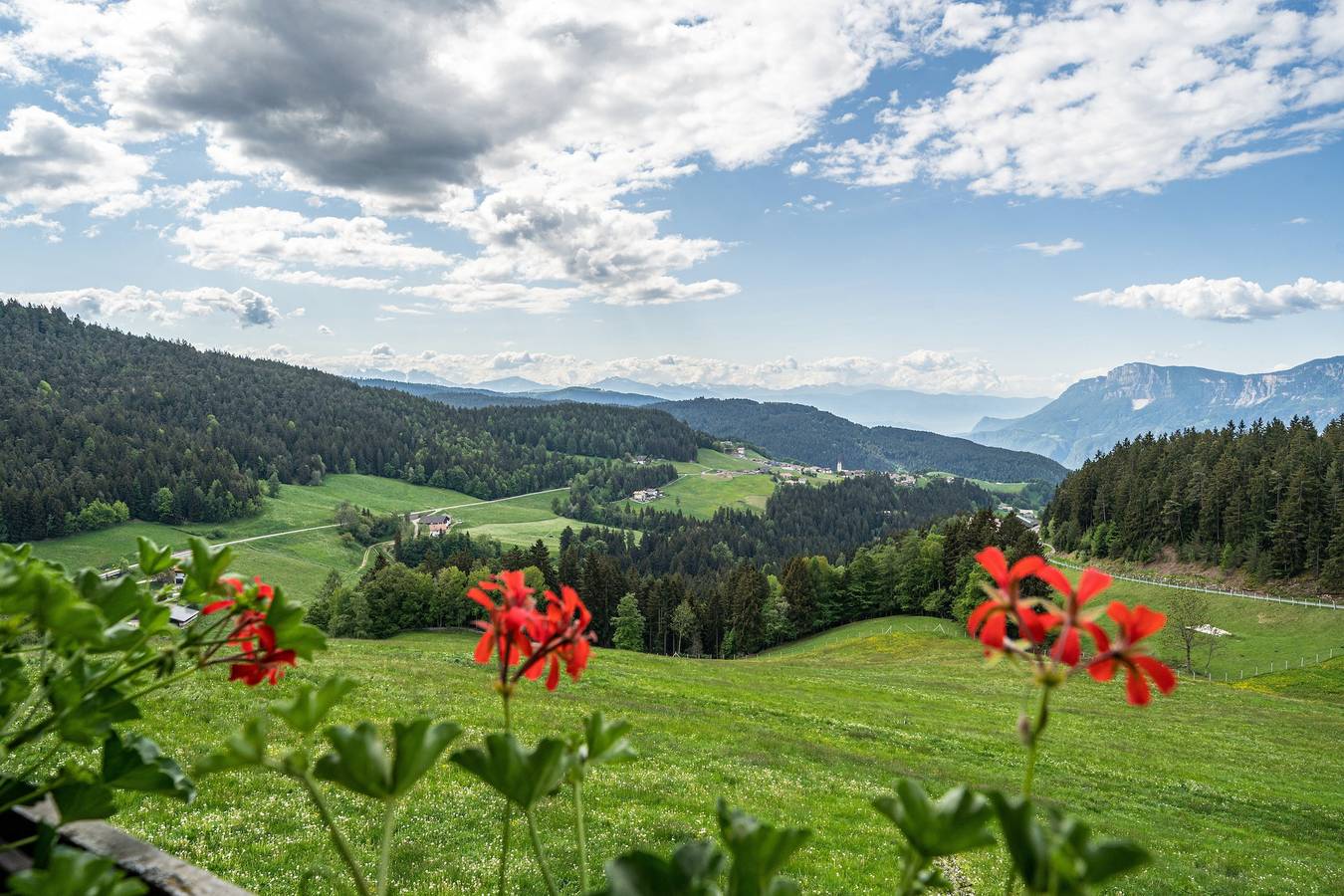 Ganze Wohnung, Appartement "Rotsteinhof Sonnenschein" mit Bergblick, Balkon & Wlan in Vöran, Sarntaler Alpen