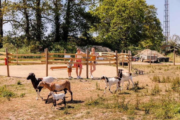 Mobil home pour 6 personnes, avec piscine à Bois-de-Céné - 4