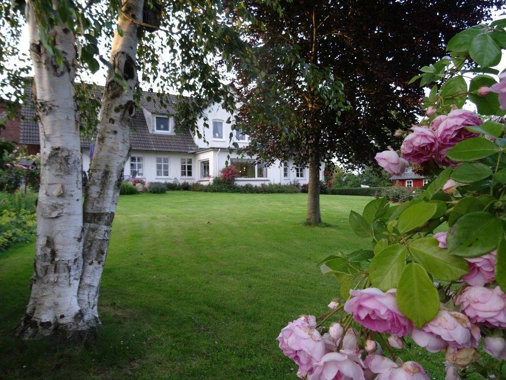 Hansenhof - Mohnblume in Kappeln, Kappeln & Umgebung