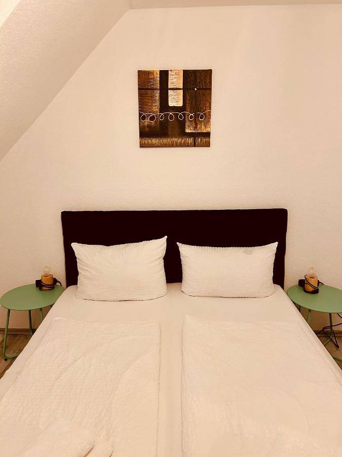 Maison d’hôte pour 10 personnes, avec terrasse à Rust - 4