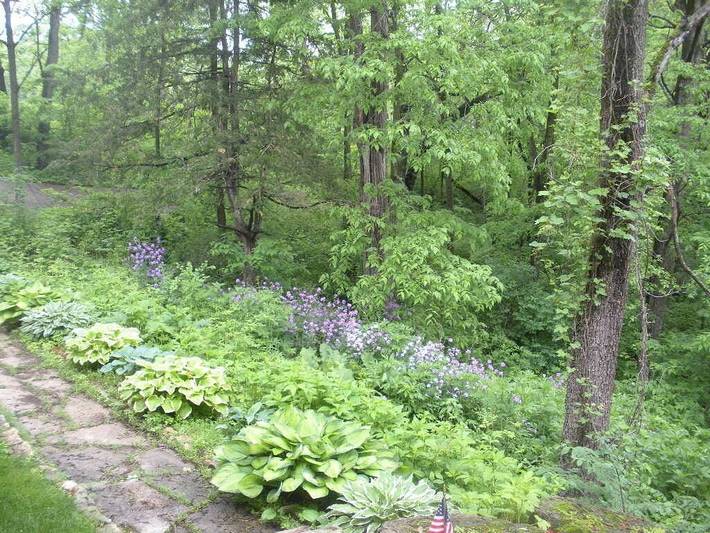 Vacation house for 10 people, with pool and yard as well as hot tub in Illinois