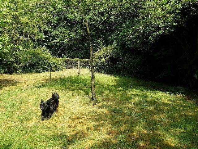 Ganze Ferienwohnung, Fewo Laubwald in Werpeloh, Emsland