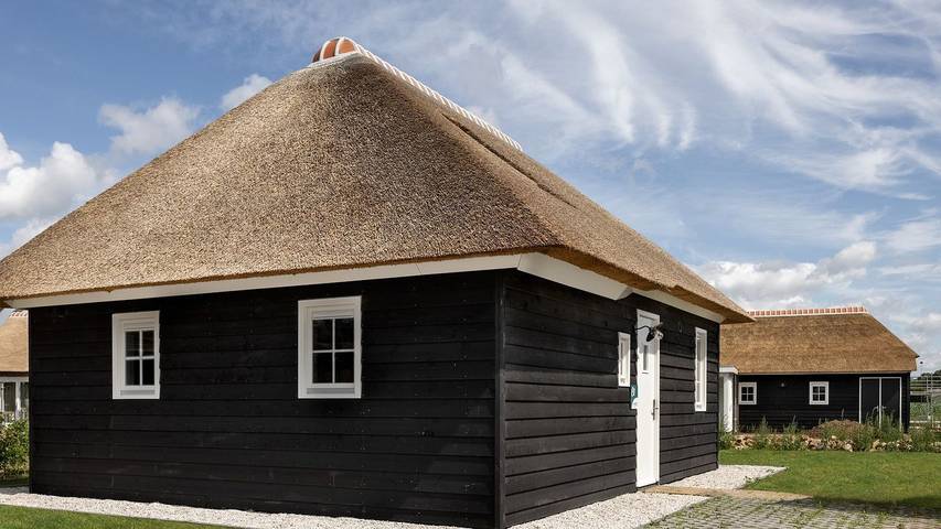 Vakantiehuis voor 4 personen, with zwembad and terras as well as tuin, met huisdier in Someren