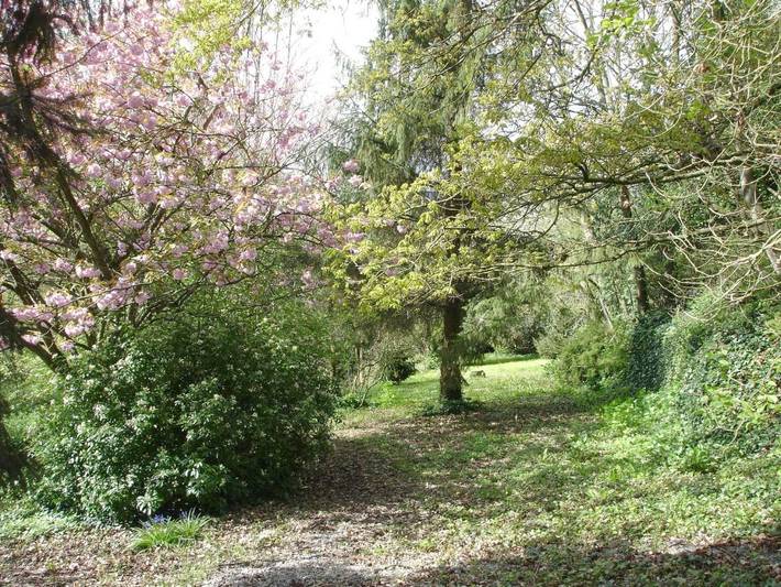 Chambre d’hôte pour 4 personnes, avec terrasse et jardin à Dol-de-Bretagne - 4