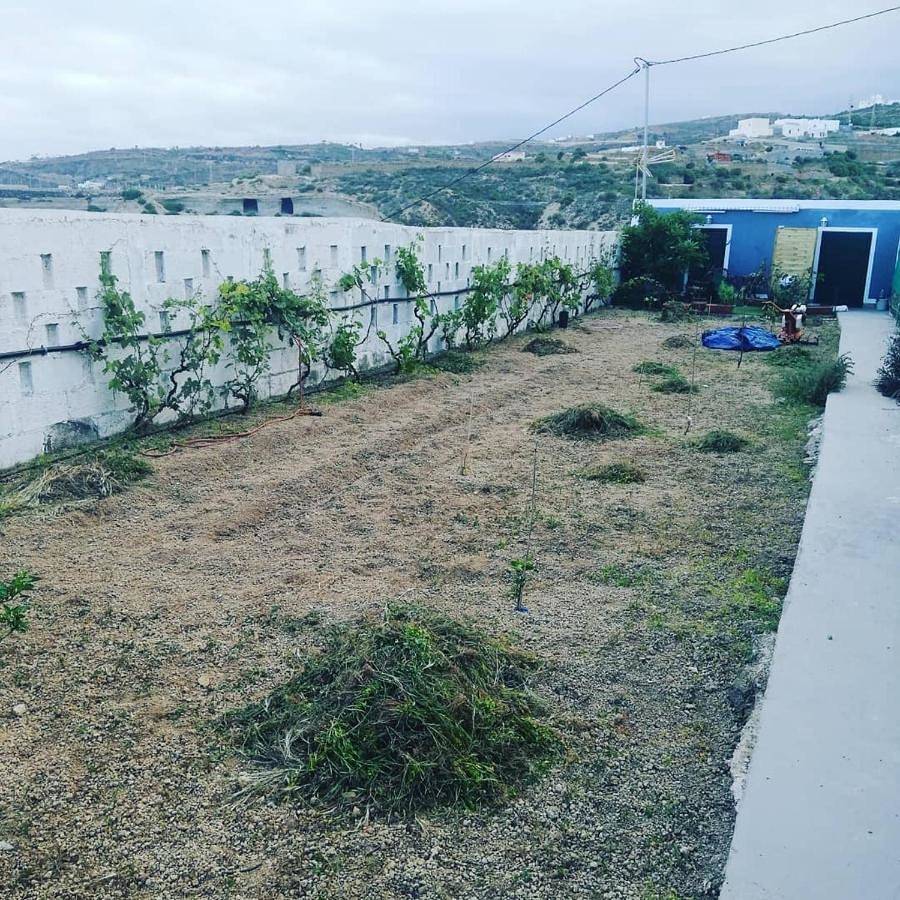 Yurta de Arico in El Tajoz, Arico