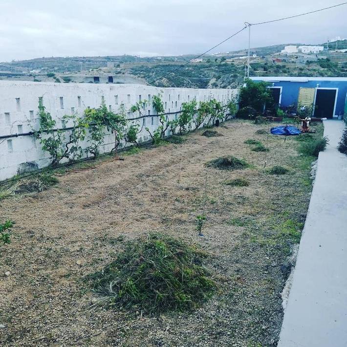 Tente pour 4 personnes, avec jardin et vue aux Canaries - 4
