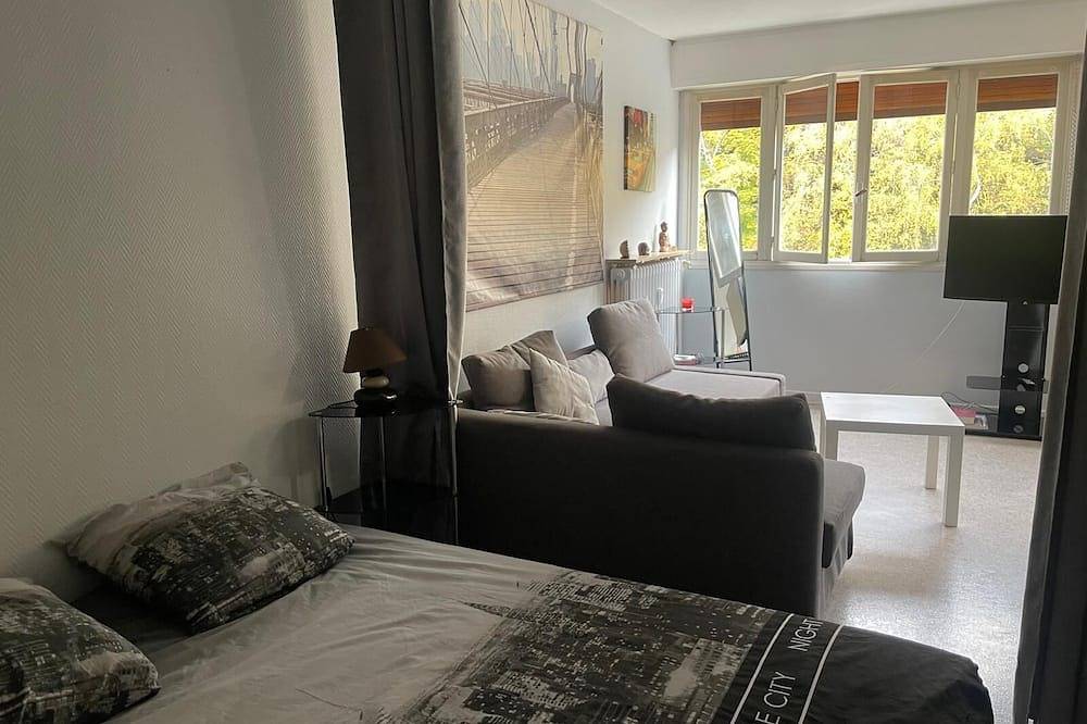 Appartement entier, Cosy T1 bis idéal vacances - cures in Royat, Parc naturel régional des Volcans d'Auvergne