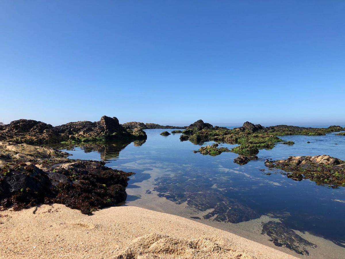 Apartamento inteiro, Casa na Praia in Aver-o-Mar, Amorim e Terroso, Distrito do Porto