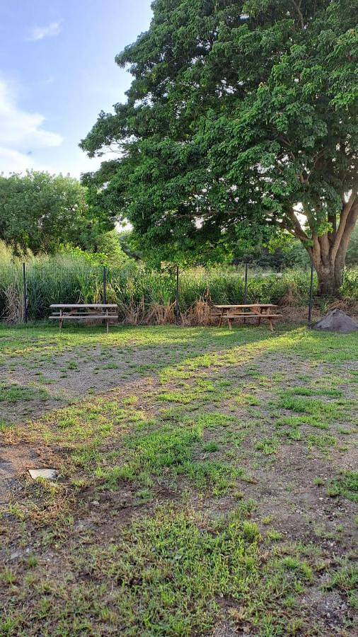 Gîte pour 6 personnes, avec jardin ainsi que vue et piscine, animaux acceptés à Saint-Pierre (ville) - 3