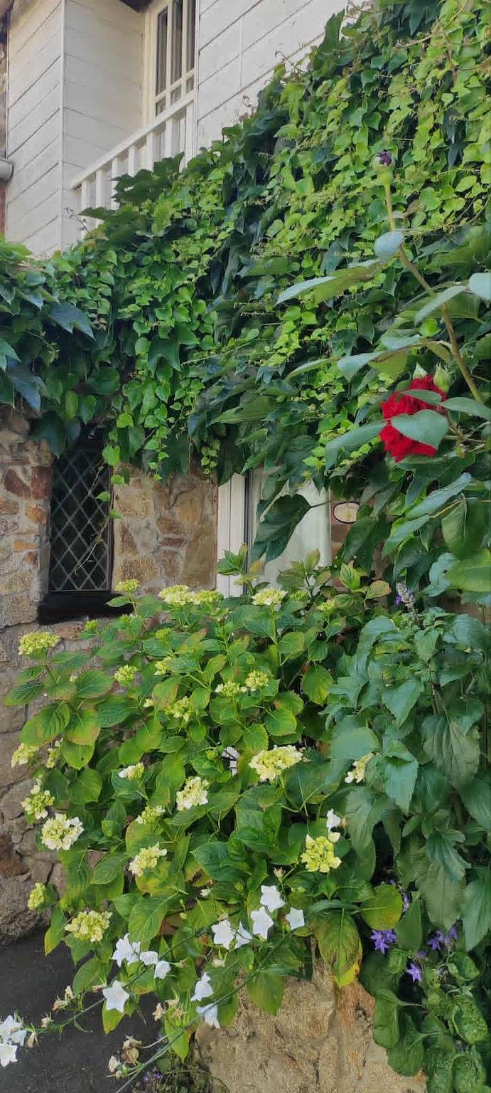 Chambre d’hôte pour 4 personnes, avec piscine et jardin dans les Deux-Sèvres - 4