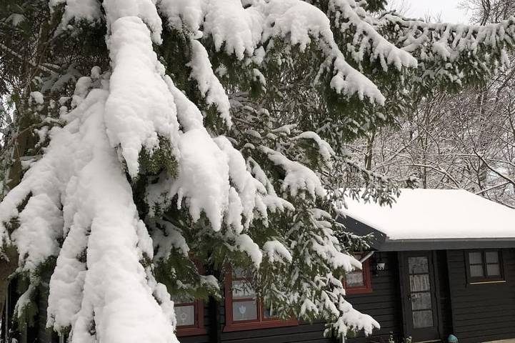Ferienhaus für 6 Personen, mit Terrasse, mit Haustier in Bad Arolsen - 4