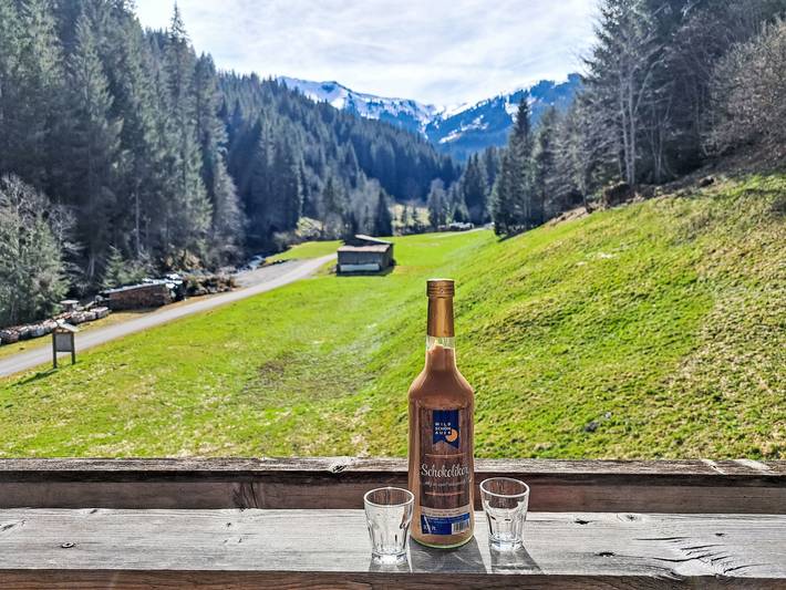 Ferienwohnung für 4 Personen, mit Balkon und Garten in Wildschönau