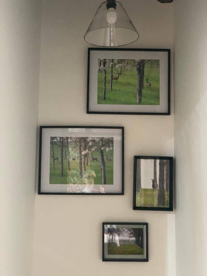 Chambre d’hôte pour 2 personnes, avec terrasse ainsi que vue et jardin dans le Lot-et-Garonne - 2