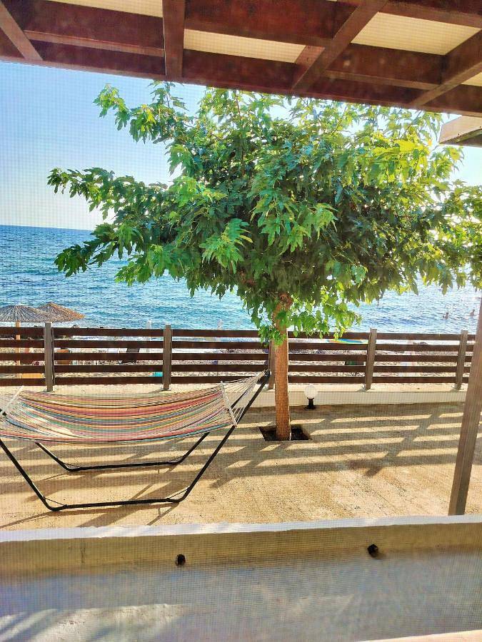 Ferienhaus für 6 Personen, mit Ausblick und Garten, mit Haustier in Agios Ilias - 3