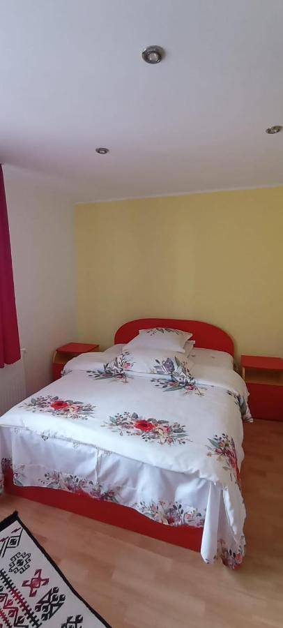 Gîte pour 2 personnes, avec jardin à Sinaia - 3