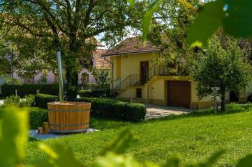 Gîte pour 3 personnes, avec terrasse et jacuzzi dans Ormož