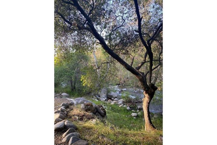Cabin for 6 people, with terrace and yard in Sequoia National Park
