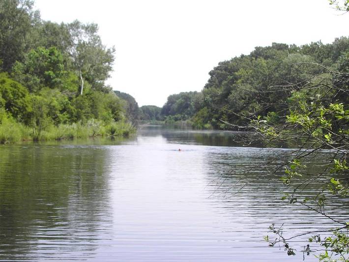 Maison de vacances pour 2 personnes, avec vue et jardin à Vienne (Autriche) - 4