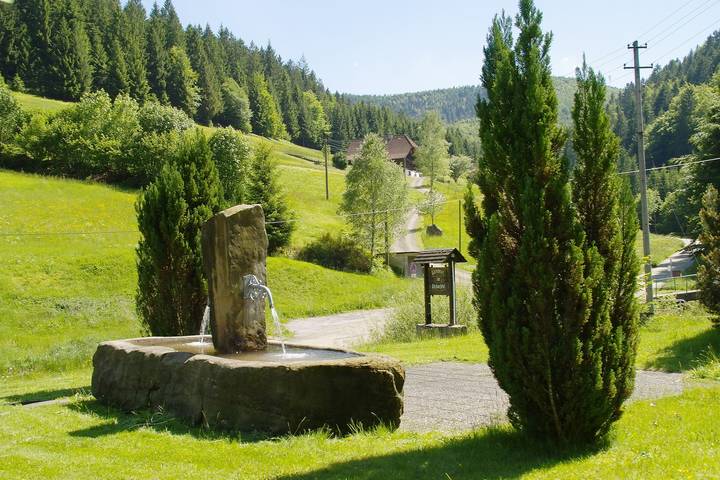 Ferienwohnung für 2 Personen, mit Balkon und Garten sowie Sauna in Nationalpark Schwarzwald - 3