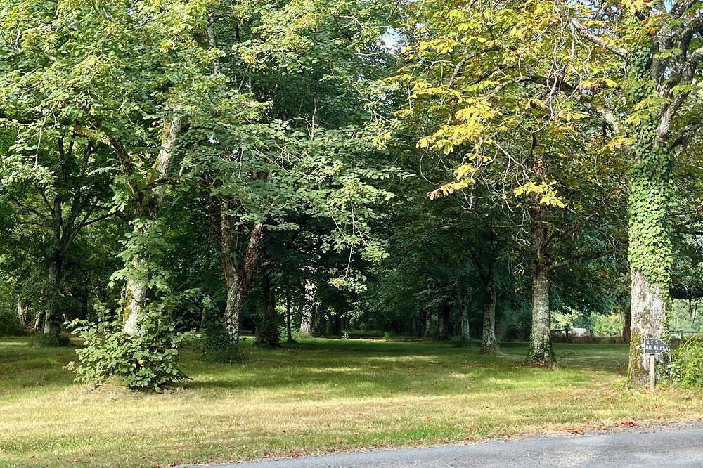 The maples - sainte maure de Touraine in Sainte-Maure-de-Touraine, Chinon region