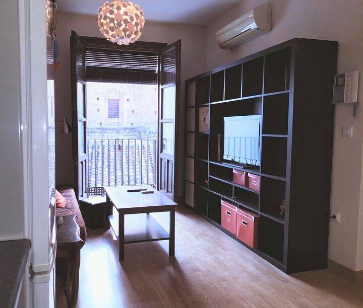 Entire apartment, El Balcón de Santiago in Realejo-San Matías, Granada