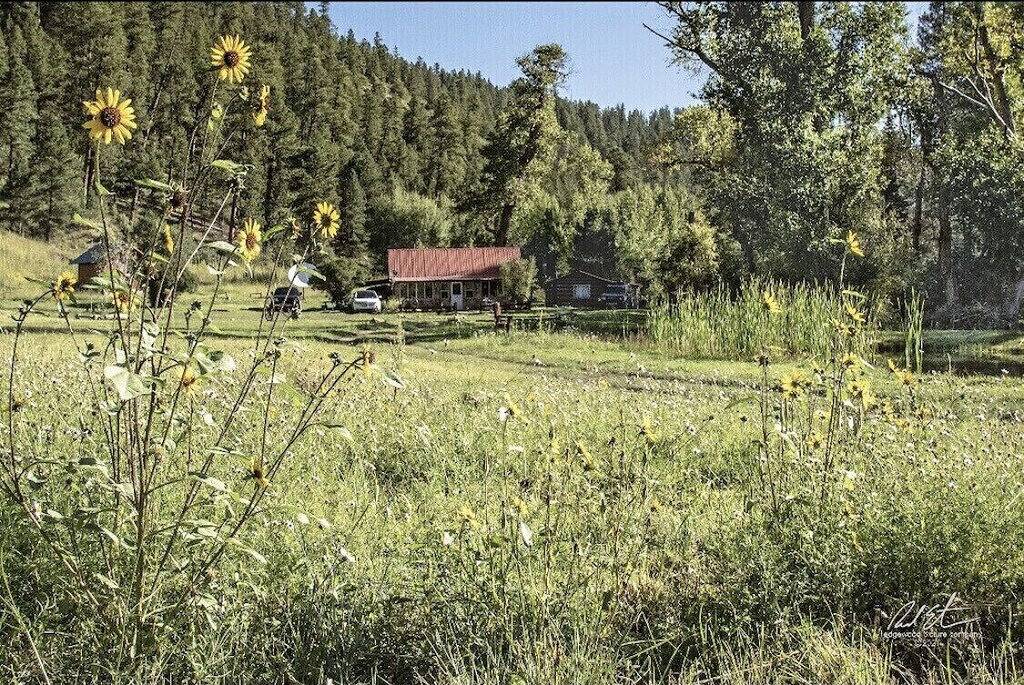 Schöne, rustikale Berghütte am Fluss. in New Mexico