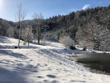 Bauernhof für 3 Personen in Waldkirch, Hochschwarzwald, Bild 2