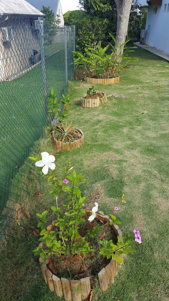 Gîte pour 4 personnes, avec terrasse à Baie-Mahault - 4