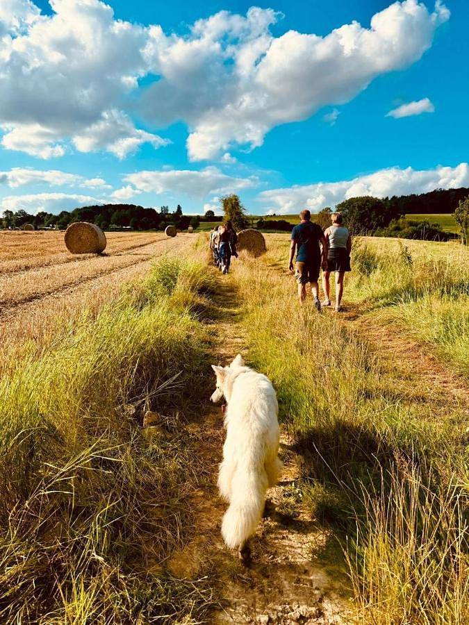 Gîte pour 4 personnes, avec vue et balcon, adapté aux familles à Yvoir - 3