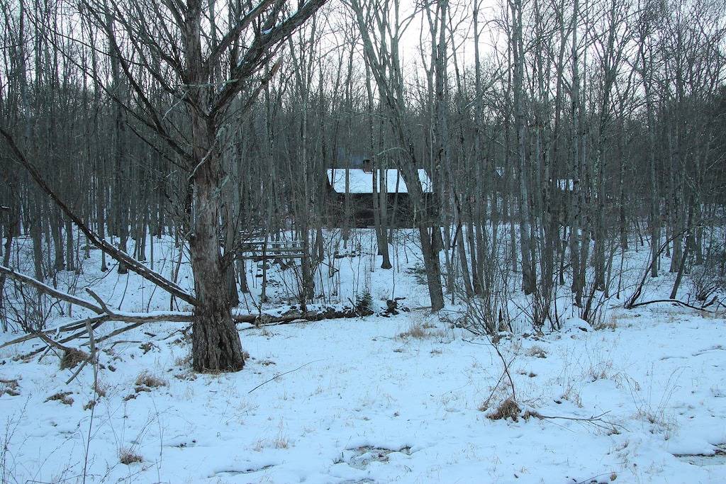 Spezielle Winterrate Delaware River Front Cabin, Haustierfreundlich, Poconos / Catski in Pike County
