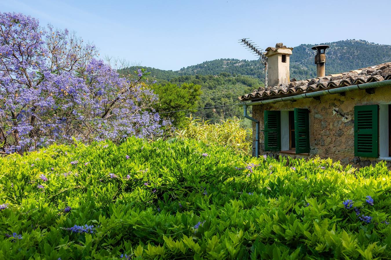 Villa con piscina en el idílico valle de Sóller in Biniaraix, Fornalutx