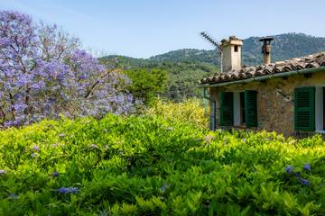 Villa in Fornalutx, Serra de Tramuntana für 8 