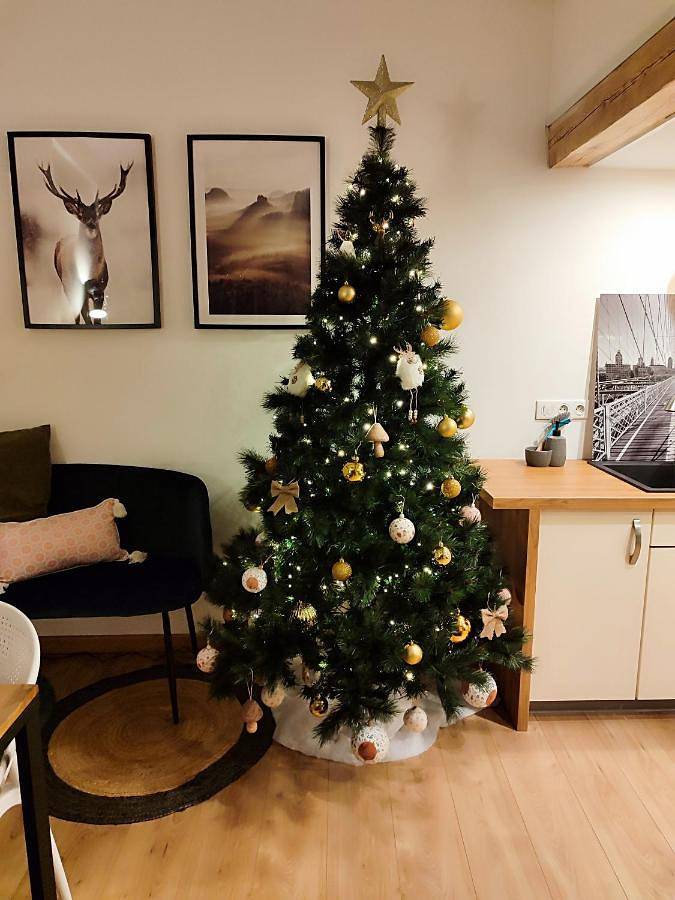 Gîte pour 6 personnes, avec terrasse à Lingolsheim - 3